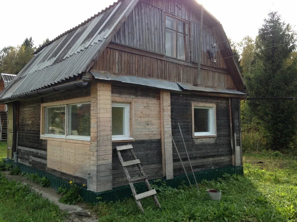 ефимыч в дачном массиве рубеж. дом массив рубеж тосненский район. тосненский район массив рубеж снт. дом массив рубеж тосненский район. садоводство рубеж тосно.