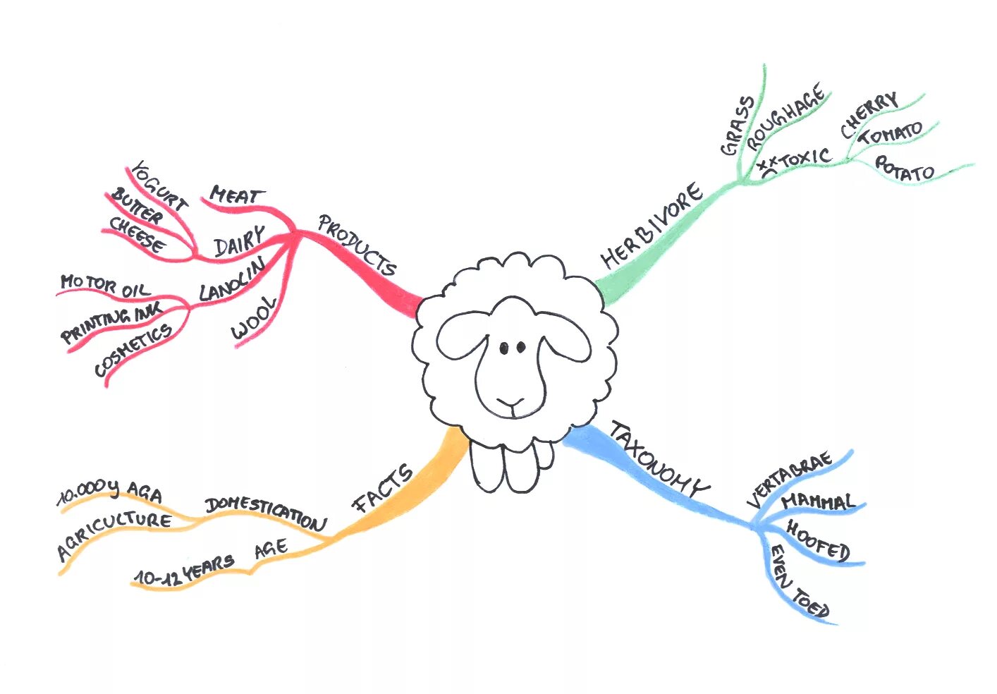 Ментальный шаблон. Ментальные карты Mind Map. Интеллект- карта (Mind Map). Mind Map Ментальная карта интеллект карта. Майнд МЭП карта.