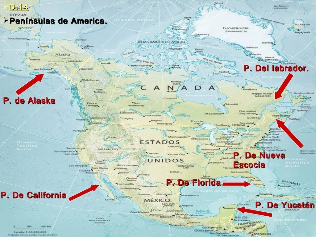 Залив фанди на карте Северной Америки. Залив фанди Северная Америка. Залив Аляска на карте Северной Америки. Фанди на карте Северной Америки.