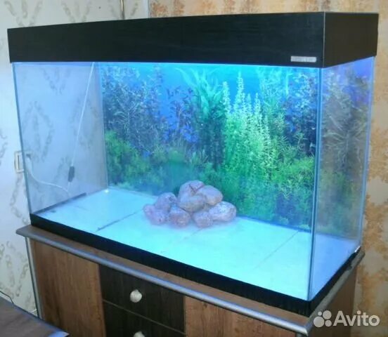 Аквариум 360 л купить в Ставрополе Животные и зоотовары Авито