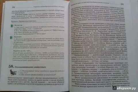 Учебник 7 класс латюшин читать