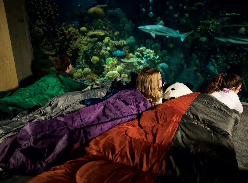 Ночевка 2015. Ночевка в океанариуме. Ночные приключения. Sleepover in Plymouth Aquarium. National Aquarium: Baltimore.