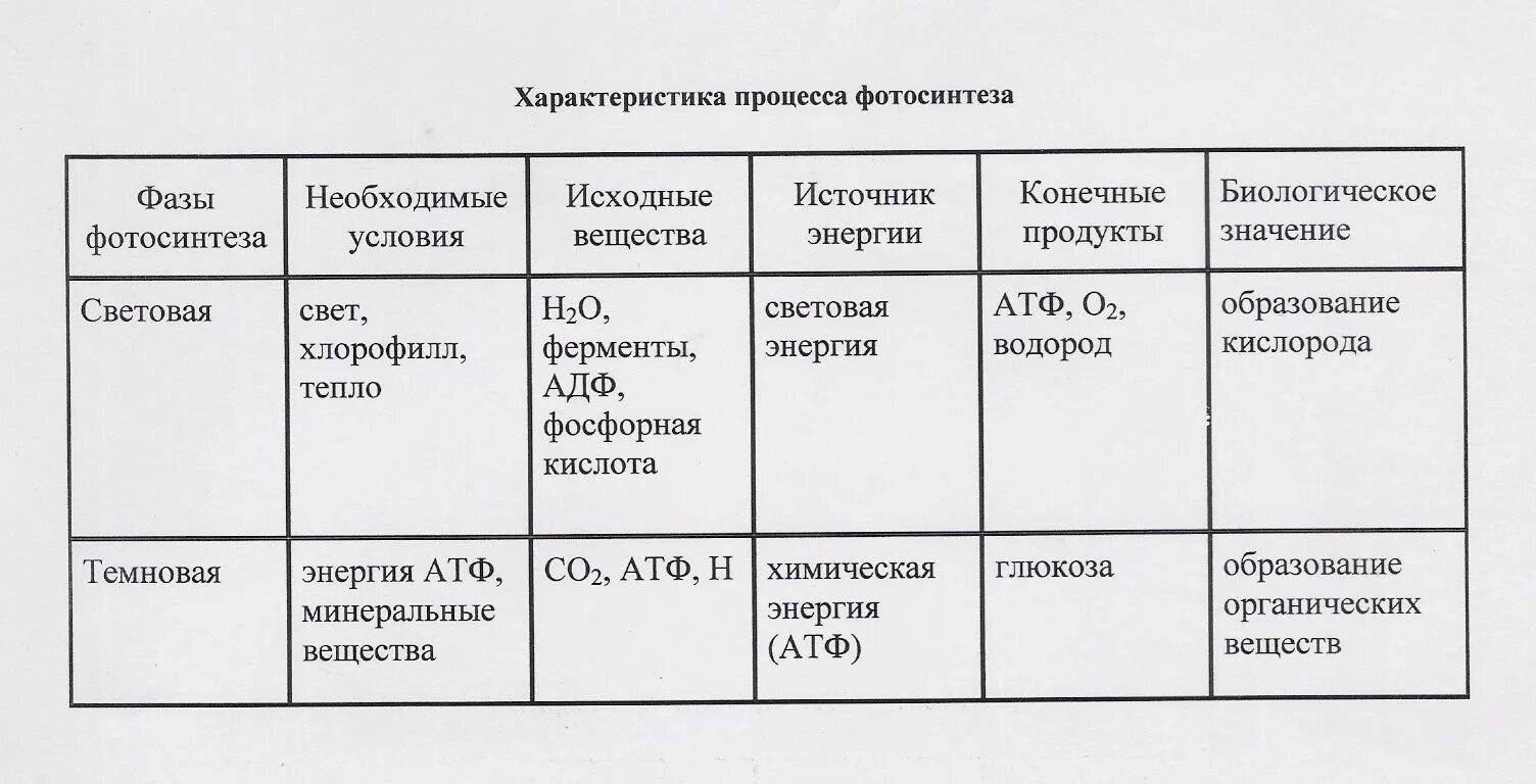 Таблицы 9 класс. Фазы фотосинтеза таблица 9 класс биология. Таблица по биологии 9 класс фазы фотосинтеза. Фазы фотосинтеза таблица 10 класс биология. Сравнительная характеристика фаз фотосинтеза таблица 9 класс.