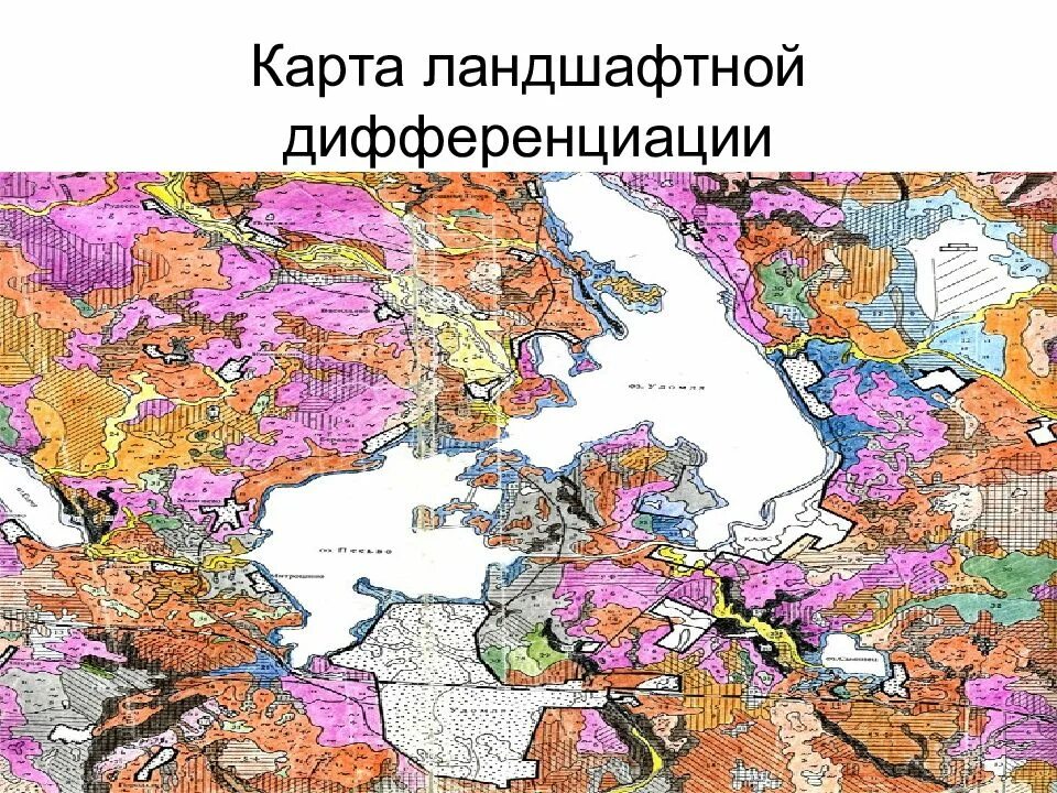 Геоэкологическая карта. Геоэкологическое районирование России. Геоэкологические карты виды. Ландшафтная дифференциация
