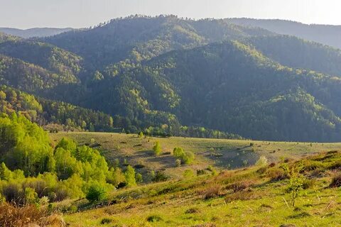 Ландшафт алтайского края