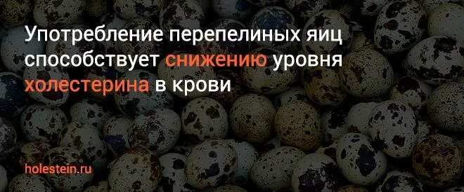 Сколько холестерина в яйце. Холестерин в перепелиных и куриных яйцах. Холестерин в перепелиных яйцах. Количество холестерина в перепелиных яйцах. Перепелиное яйцо при высоком холестерине.