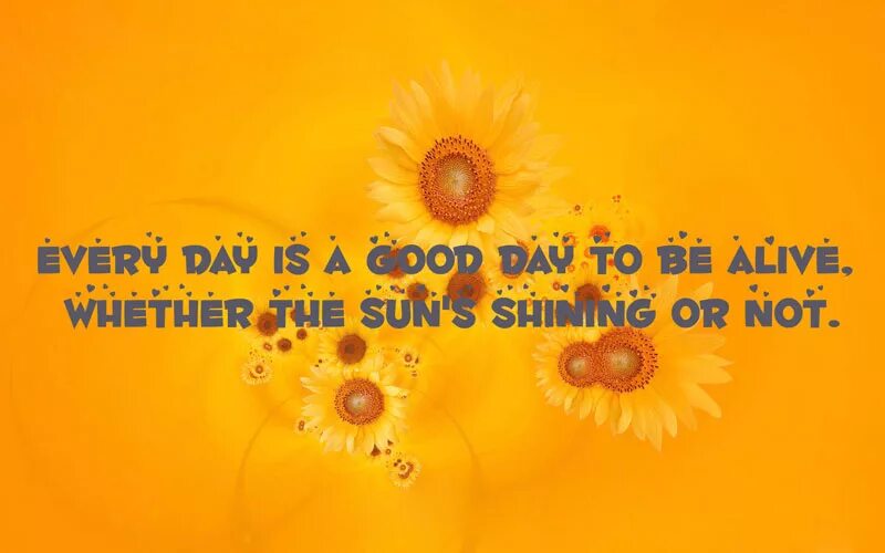 Syml here comes the sun. Goodbye wish you all the best. I wish you all the best картинки. I wish i could правило. I wish the sun.