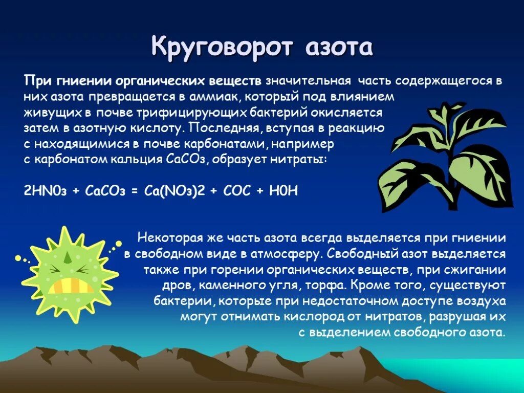 Вещества содержащие азот образуются. Опишите круговорот азота. круговорот азота в природе. крговорот ахота в природе. опишите круговорот азота в природе.