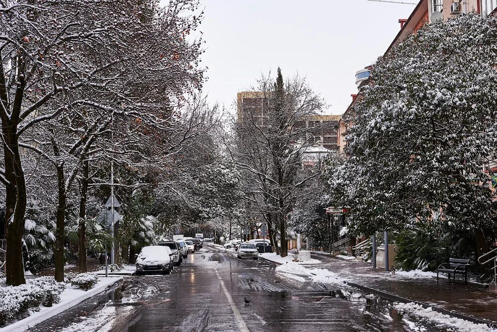 ария улица роз обложка. ария улица роз 1988. улица роз. улица роз смысл. жана на улице роз.