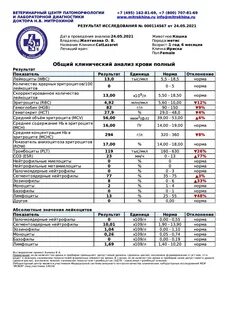 Общий клинический анализ это