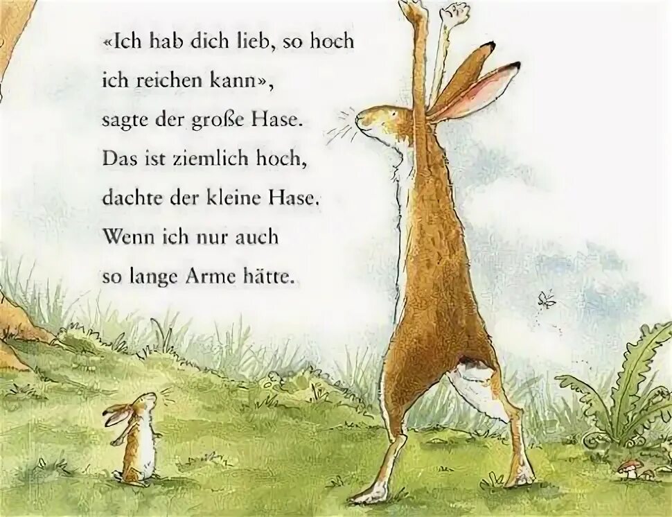 Hab dich. «Der Wettlauf zwischen dem Hasen und dem Igel» вшдд.