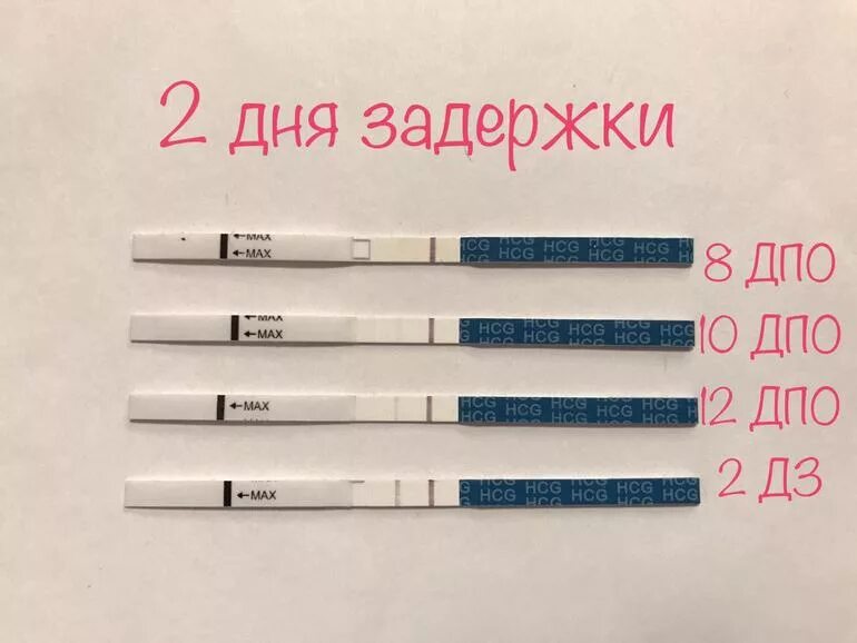 Что такое задержка месячных