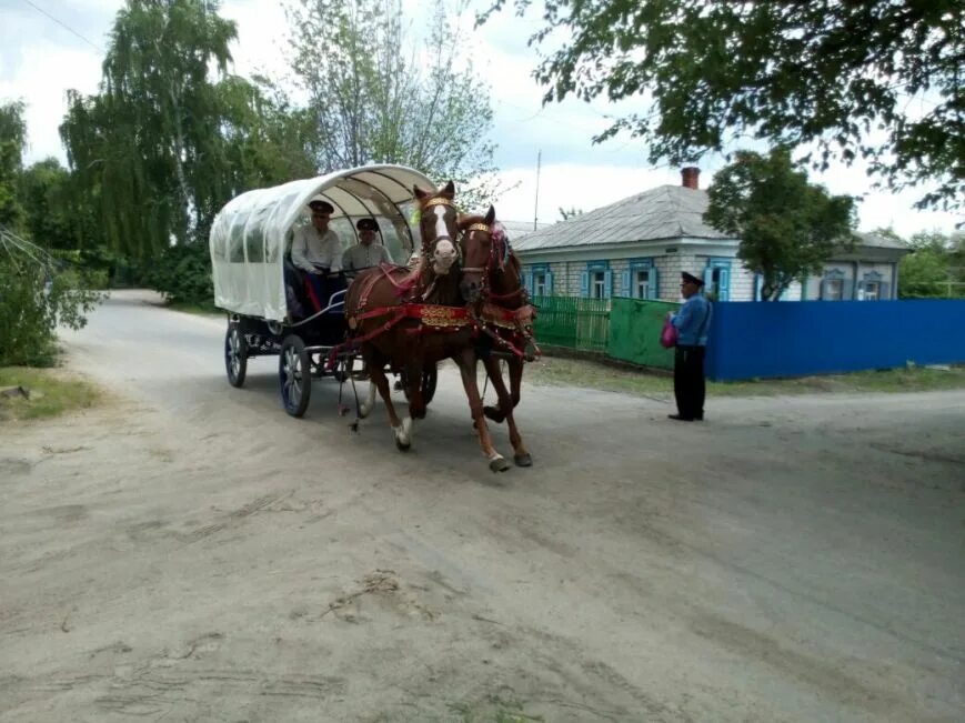 Вешенская станица ростовская область погода на неделю. Станица вешенская население. вешенская рынок. вешенская фото. шолоховский кафе.
