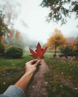 Что мы видим слышим осенью