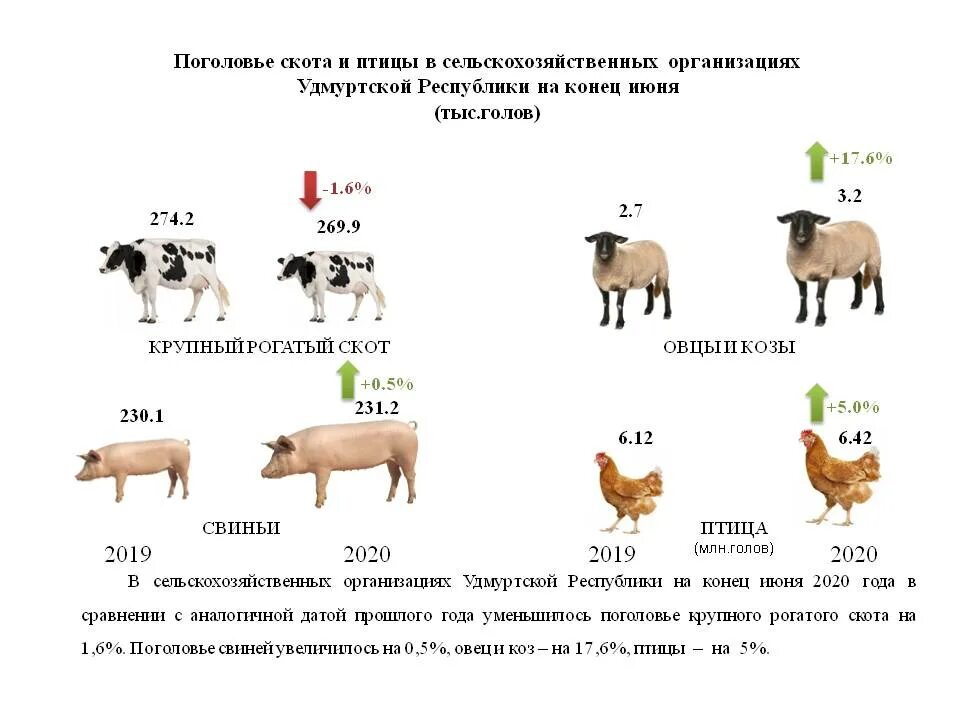 Поголовье скота. Поголовье крупного рогатого скота. Сельское хозяйство крч статистика. Количество КРС.