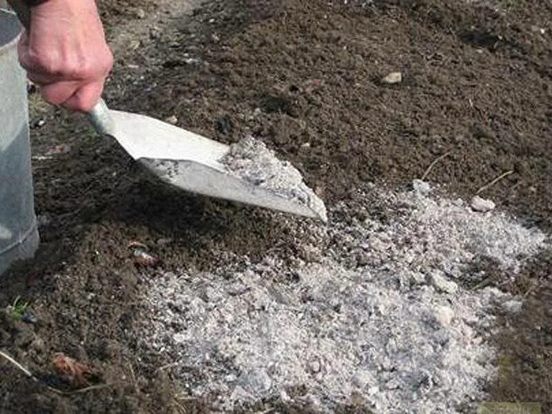 Почва огород. Грунт с доломитовой мукой. Известь в почву весной. Навоз для огорода. Известь в почву весной.