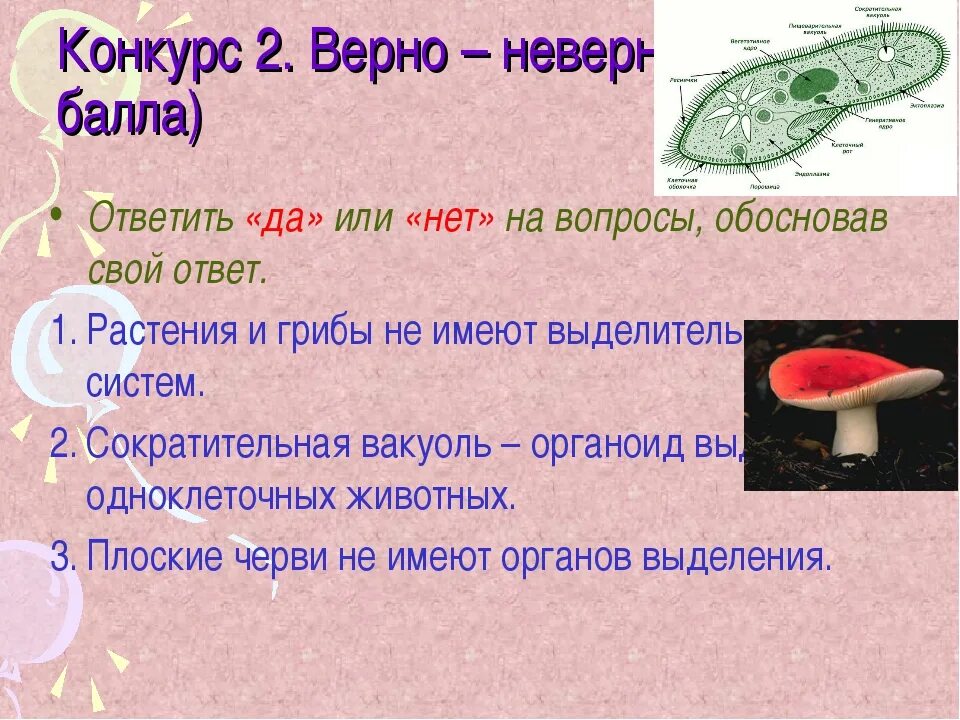 Тест по теме выделение 8