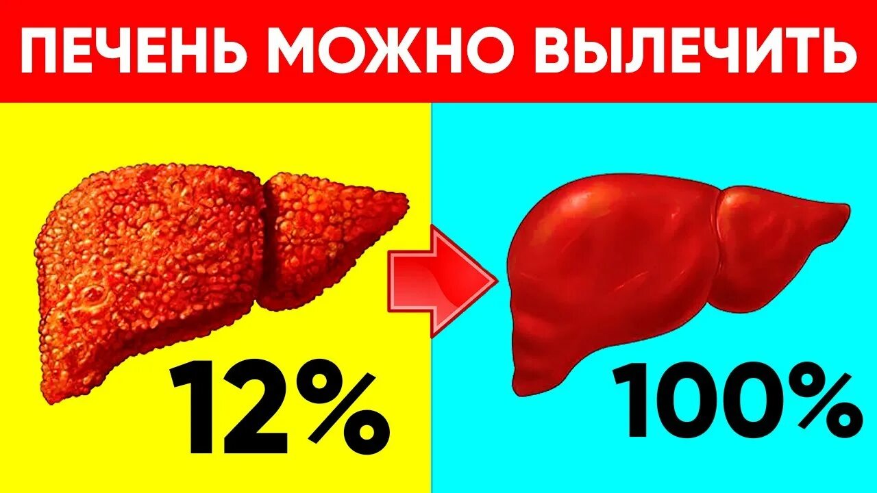 За какое время восстанавливается печень. 5 Продуктов врагов печени. Убийцы печени 5 продуктов.