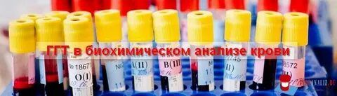 Ггт лечить