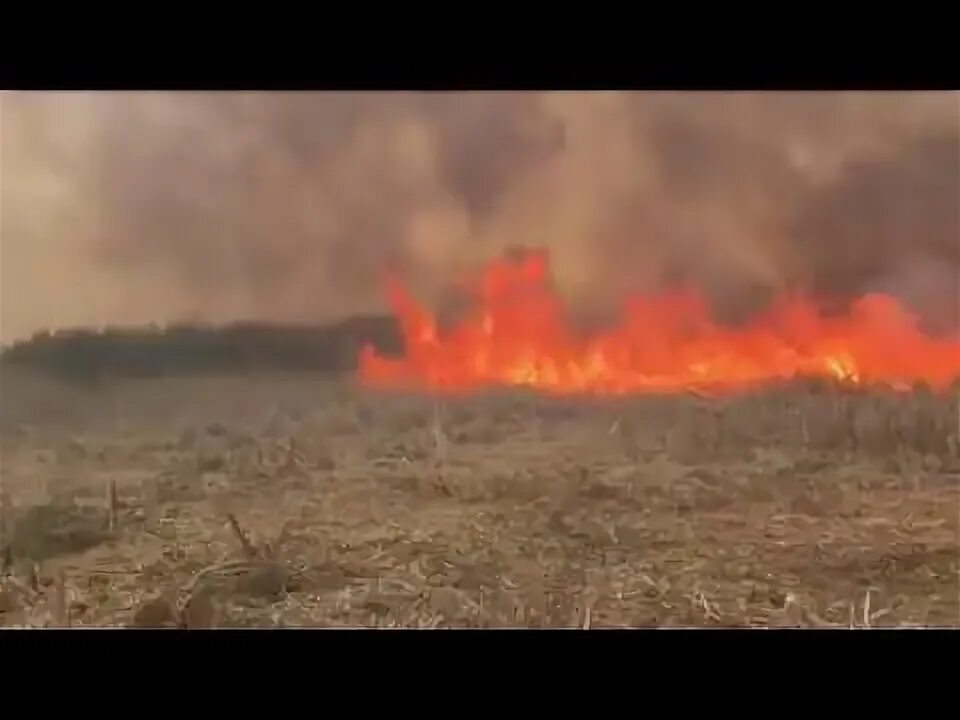 Пожар в д лесная. Пожар д. Карлук. Пожары д Слаговищи. Пожар в д. Демидовка. Кори д. "пожар Сиболы".