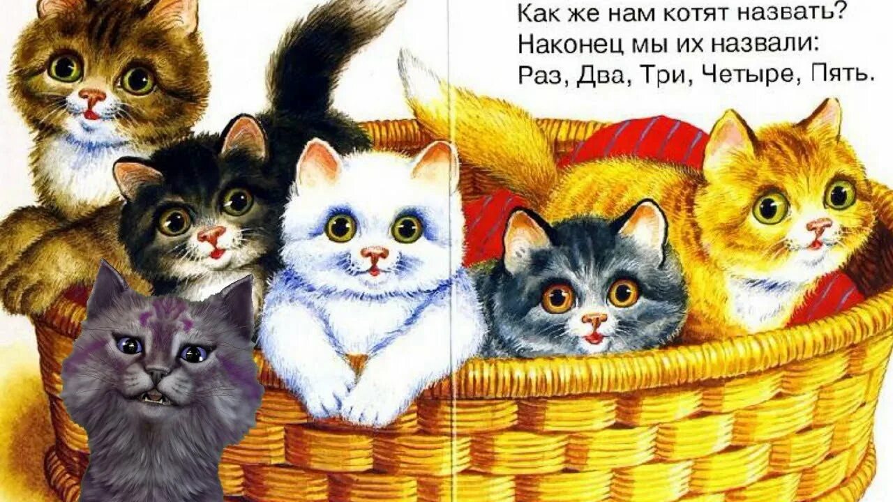 Котенок герой произведений. Произведение котята Сергея Михалкова.