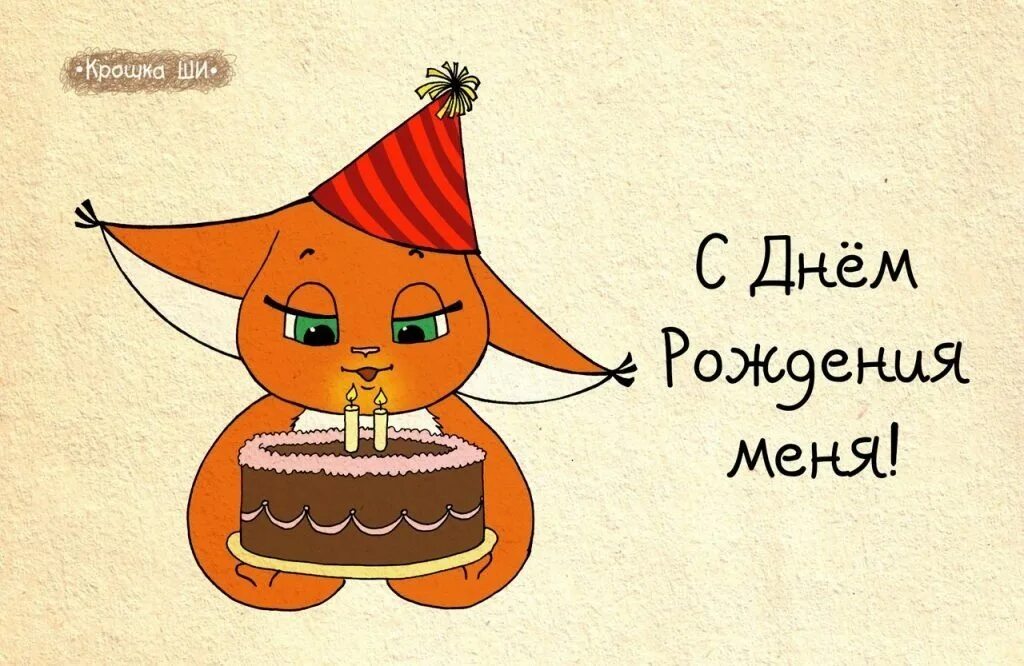 Др срок