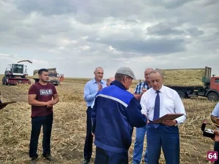 Прогноз погоды поселок молодежный саратовская область