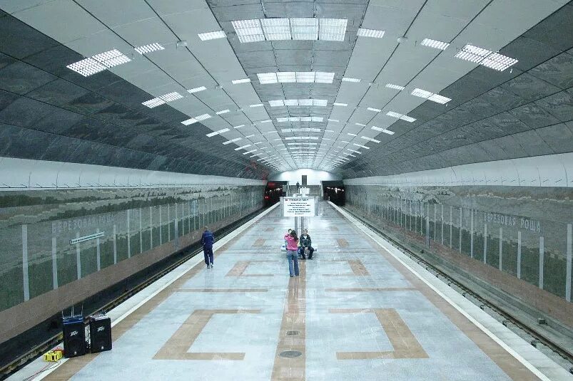 Новосибирский метрополитен березовая роща. Метро березовая роща. Новосибирск метрополитен станция берёзовая роща. Новосибирск метрополитен станция берёзовая роща. Метро березовая роща.