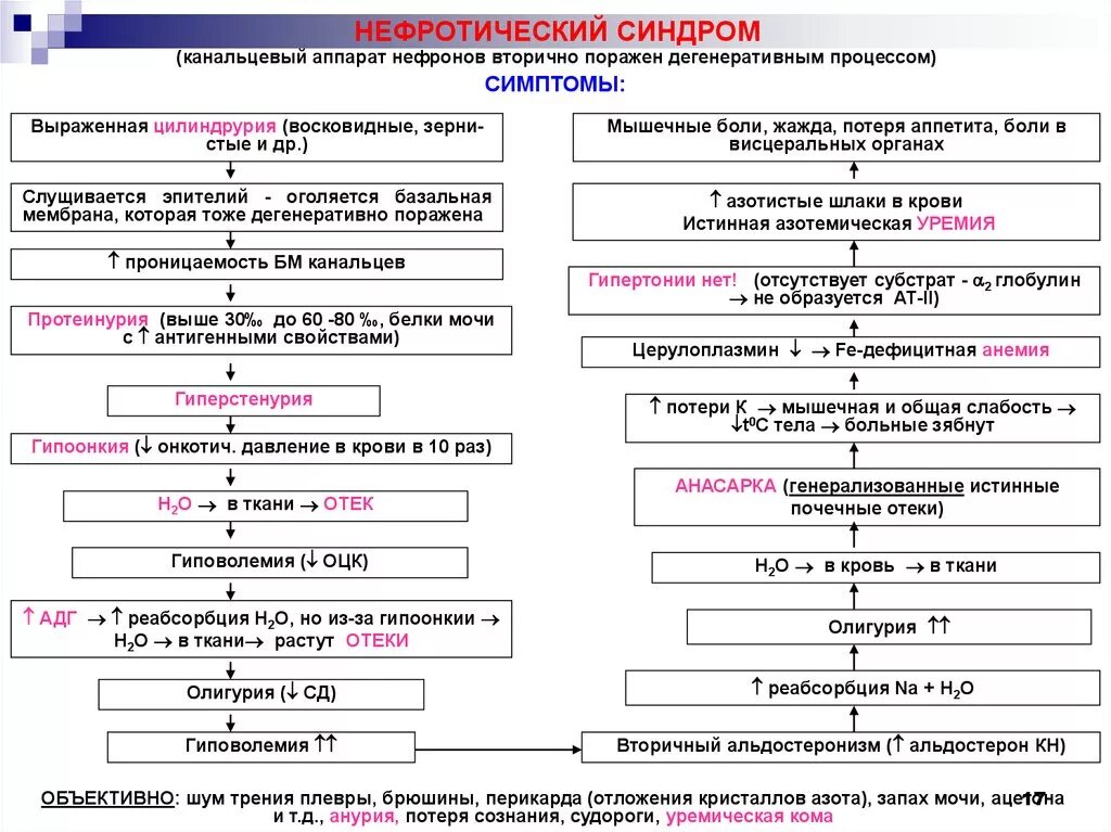 Нефротический синдром моча. Алгоритм диагностики нефротического синдрома. Нефротический синдром диагностический алгоритм. Отличия нефротического и нефритического синдромов таблица. Нефротический и нефритический синдромы отличия.