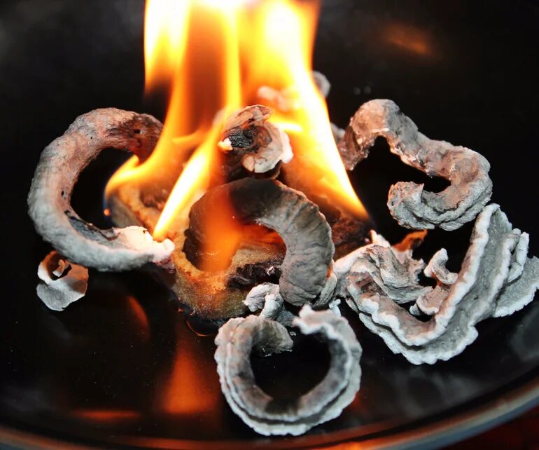 Глюконат кальция фараонова змея. Опыт змей. Фараонова змея. Фараоновы змеи. Фараонова змея из глюконата кальция реакция.