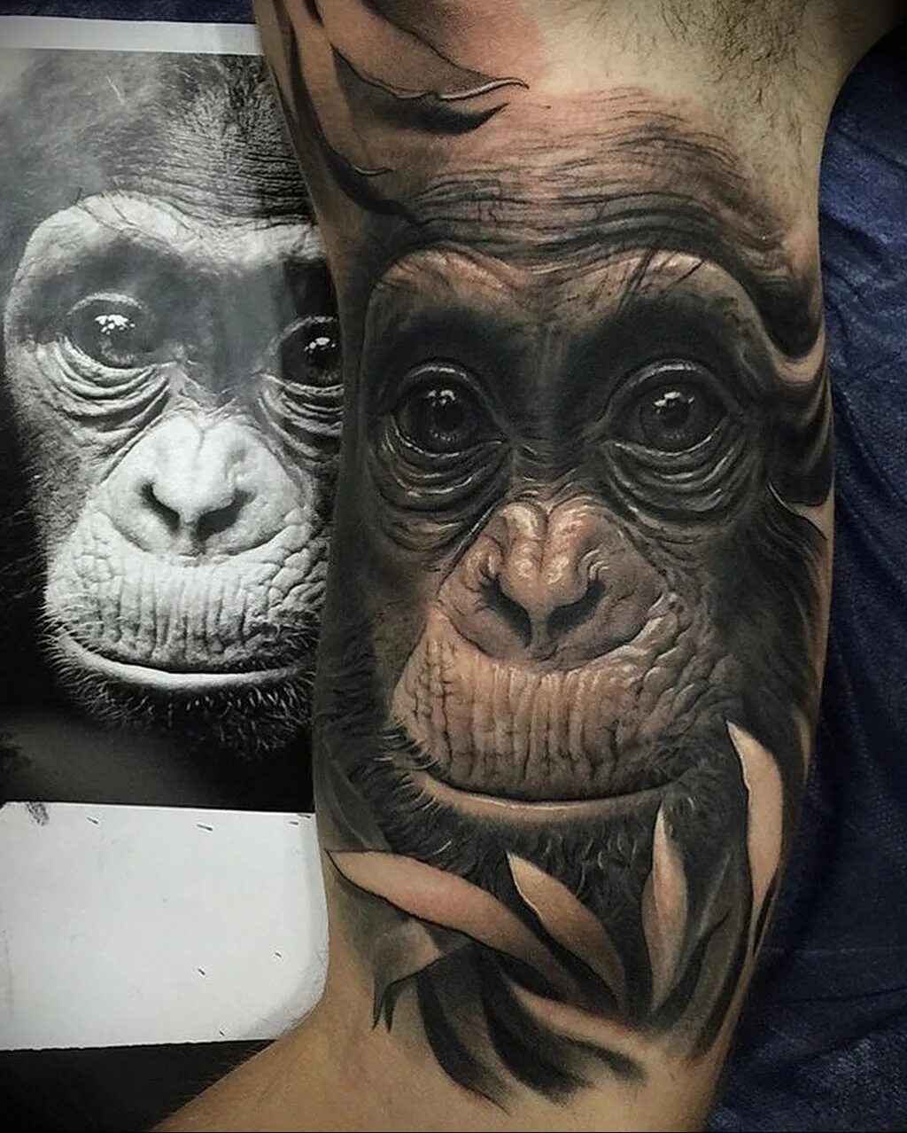 Тату обезьяна. Тату шимпанзе. Обезьяна значение. Тату горилла реализм. Тату обещяны.