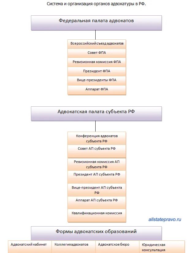 Органы адвокатского самоуправления в рф. Организационная структура адвокатуры в РФ. Организация и структура органов адвокатуры в РФ. Адвокатура РФ схема. Схема организации органов адвокатуры в РФ.