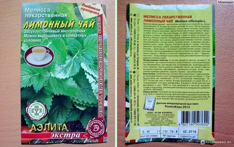 Саженцы агрофирмы каталог