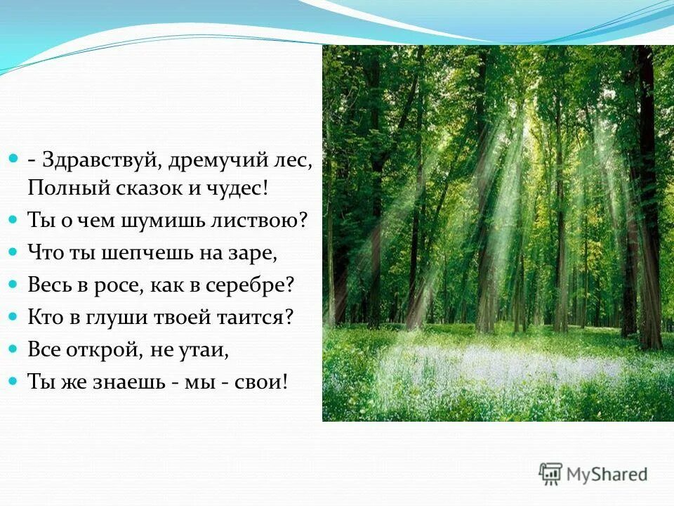 необычен этот лес полон сказок и чудес.