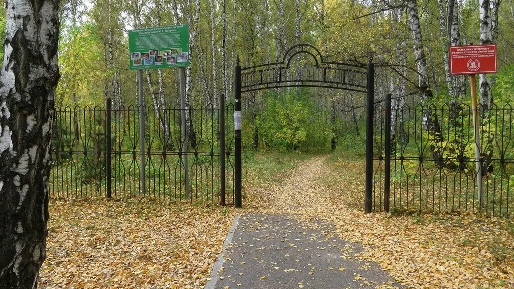 лесопарк имени гагарина тюмень. парк гагарина тюмень. гагаринский парк тюмень. гагаринский парк тюмень. парк гагарина тюмень.