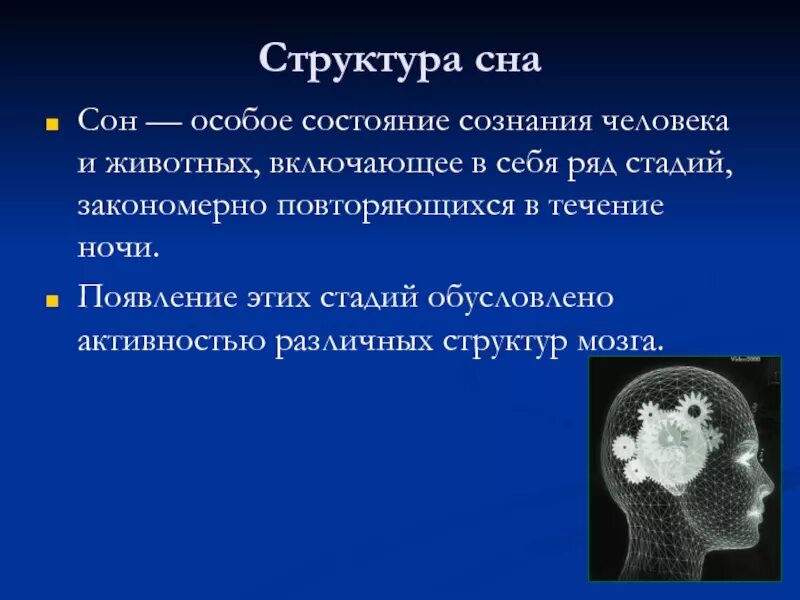 В течение ночи
