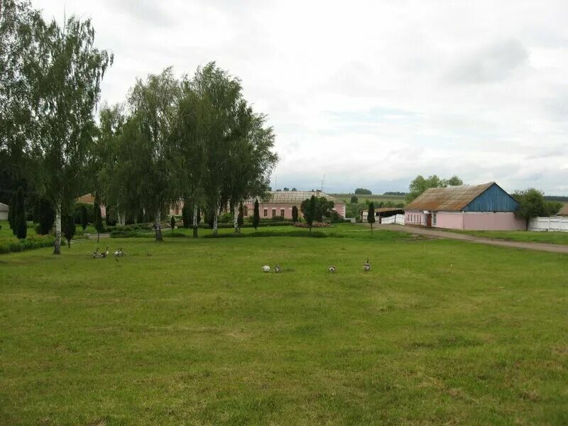 Псковская область невельский район деревня большая будница. Усть долыссы панорама. Код село. 024244364код села березовка. Код село.