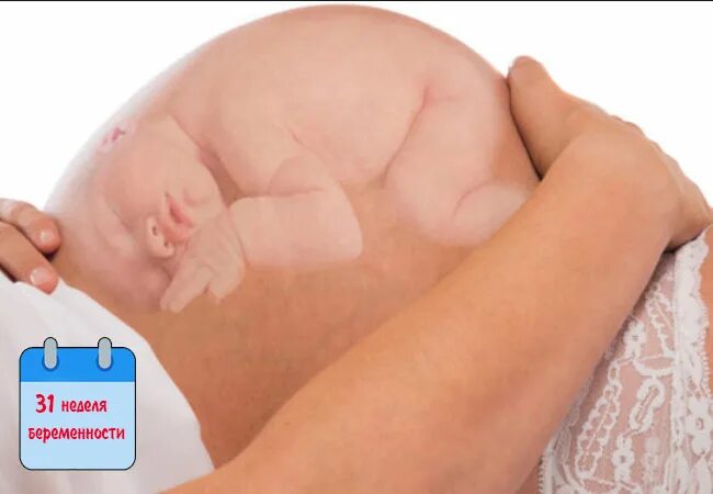 Как выглядит ребенок на 31 неделе DESARROLLO EMBRIONARIO Y FETAL. YouTube