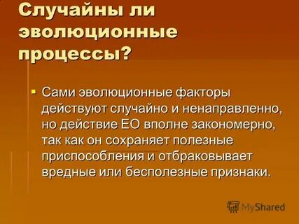 Случайно ли