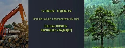 Реклама леса