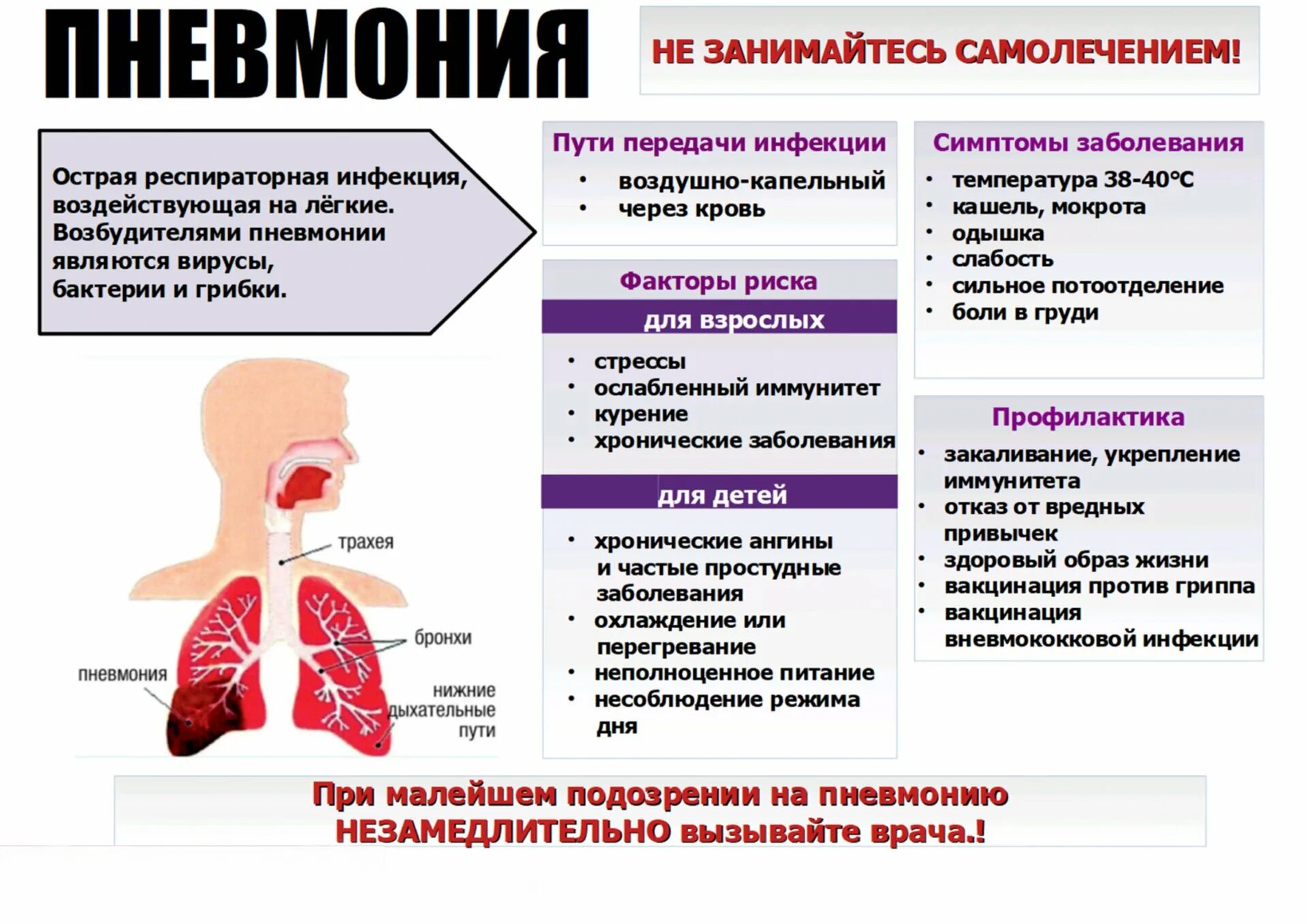 А также причиной заболевания. Пневмония симптомы у взрослых. Восполении лёгких, симптомы. Симптомы при пневмонии у взрослых.