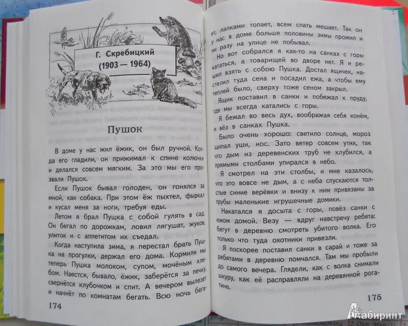 Читать книги для 3 класса рассказы