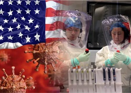 Вирус сша 2024