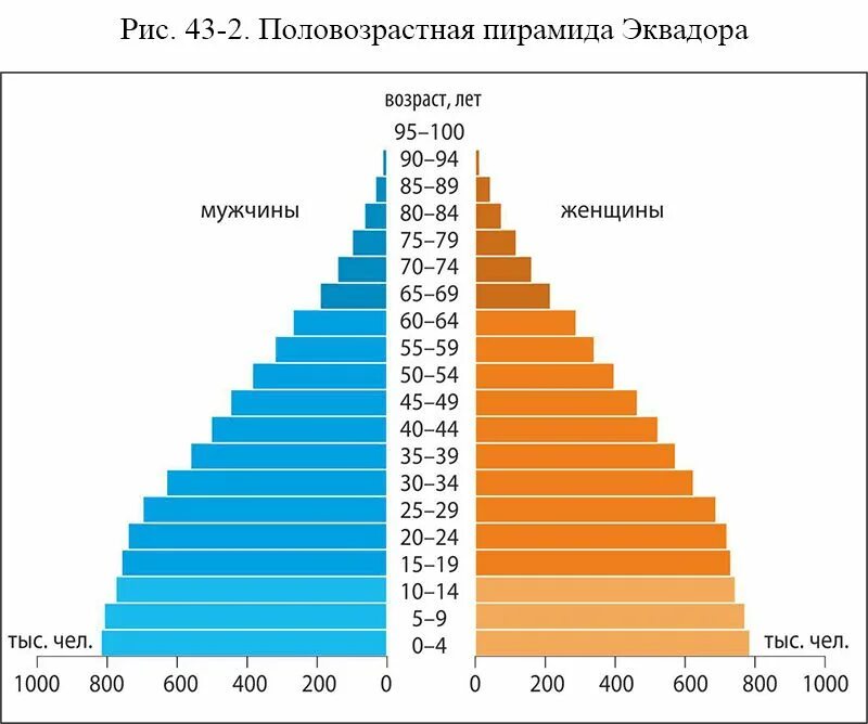 Особенности возрастного и полового состава населения индии. Особенности возрастного и полового состава населения индии