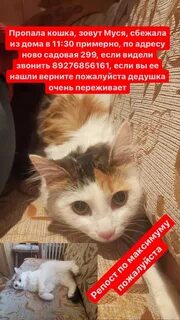 Пуся муся как звали 3 котенка