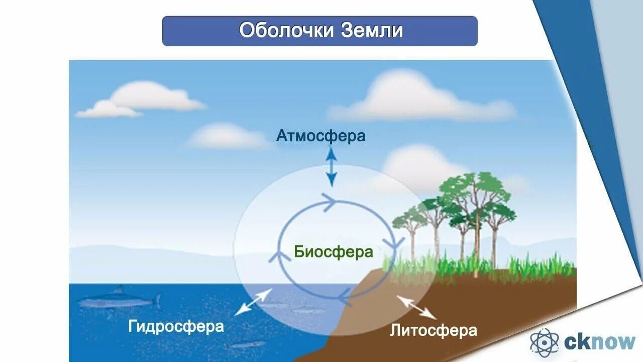 Атмосфера и гидросфера. Сферы земли биосфера гидросфера. биосфера литосфера гидросфера. биосфера гидросфера атмосфера литосфера схема. связь биосферы с другими оболочками земли схема.
