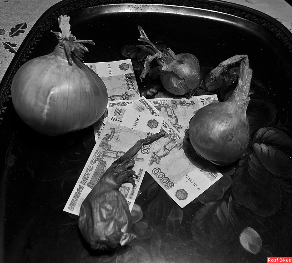 луковица жизни