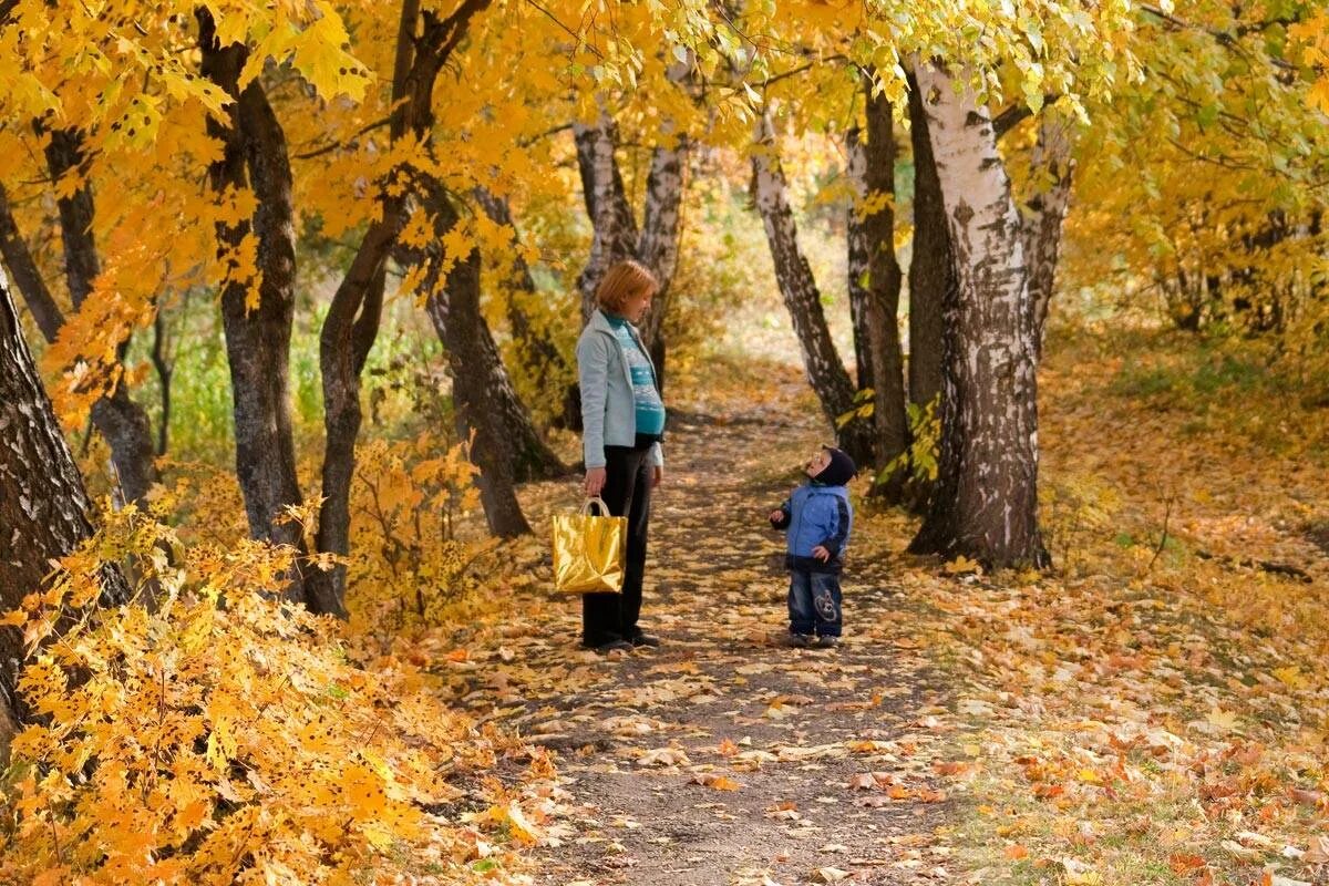 Прогулка осенью в саду. Осенняя прогулка. прогулка по осеннему лесу. прогулка в парке осенью. гулять осенью.