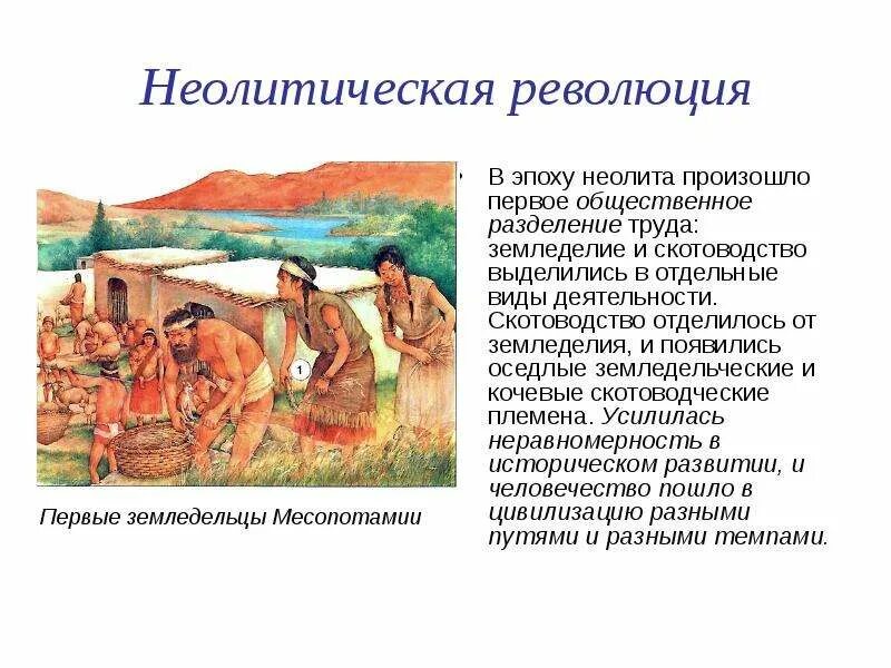 Насколько древний. Неолитическая революция первые скотоводы земледельцы ремесленники 6. Земледелие и скотоводство древних людей. Неолитическая революция. Возникновение земледелия..