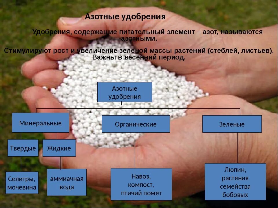 Азот содержащиеся соединения. Азотные удобрения. Азотные Минеральные удобрения. Внесение азотных удобрений. Азотные Минеральные удобрения названия.